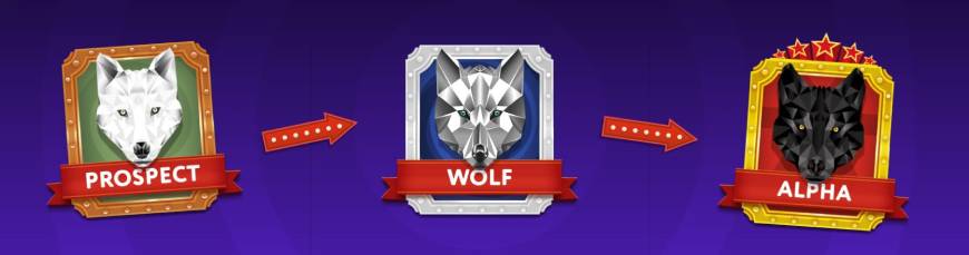 Slot Wolf Casino VIP-ohjelma